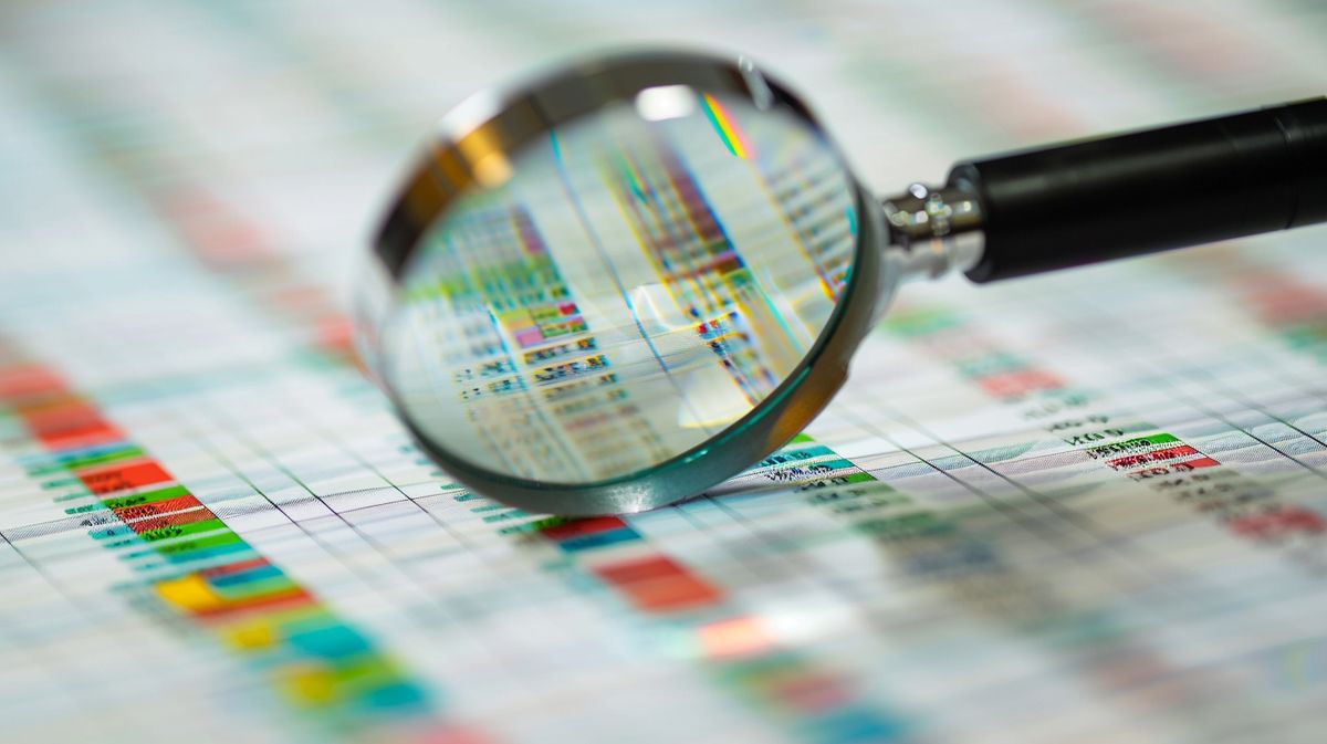 Grafik zur Analyse der Datenqualität mit Balkendiagrammen und Statistiken